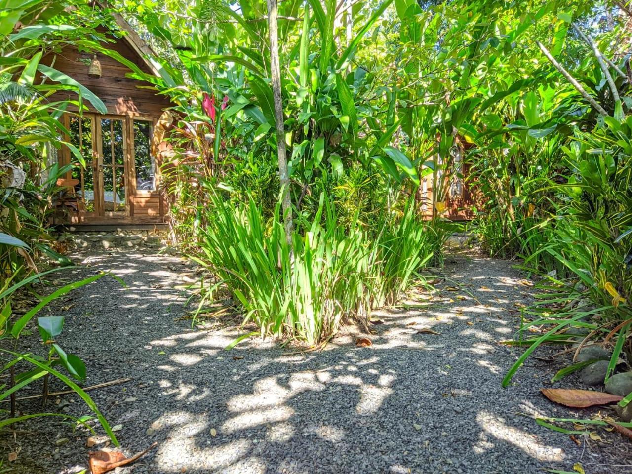 Batukaras Coconut Tree Cottages מראה חיצוני תמונה